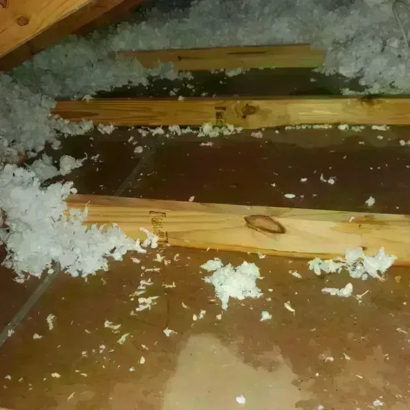 Attic Water Damage in Vale, OR