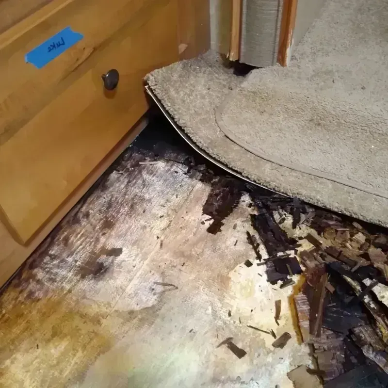 Wood Floor Water Damage in Vale, OR